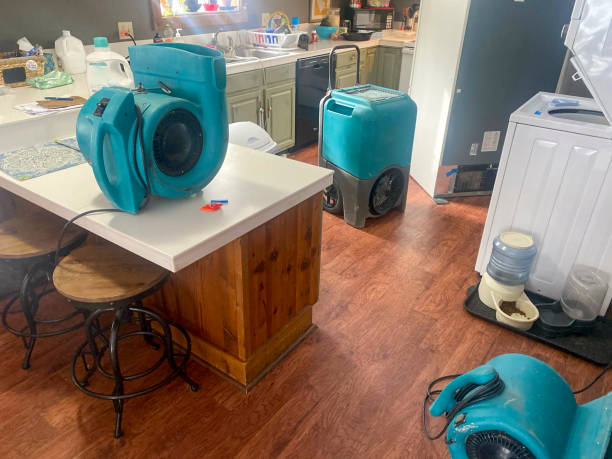 Best Commercial water damage restoration  in Conneaut, OH