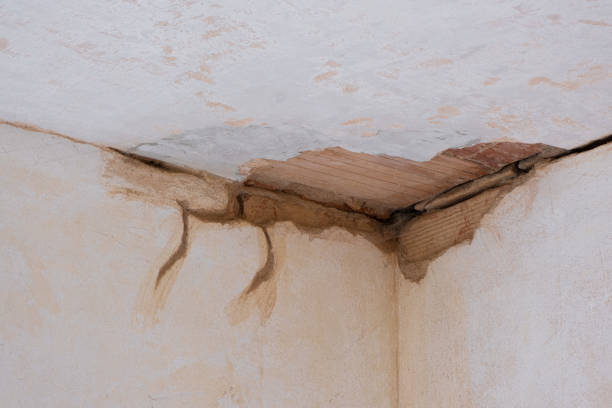 Best Flood damage cleanup  in Conneaut, OH