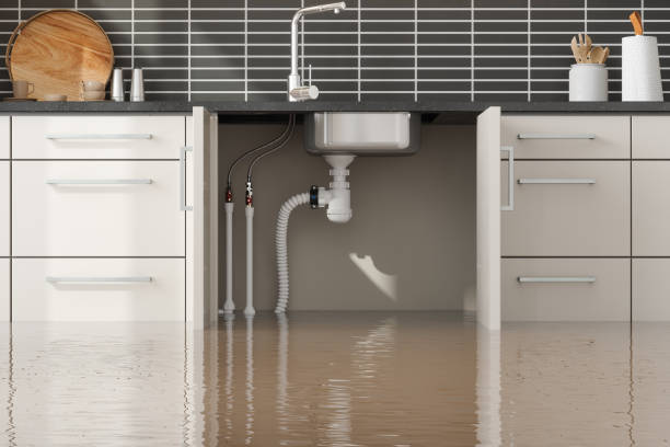 Best Water damage restoration near me  in Conneaut, OH
