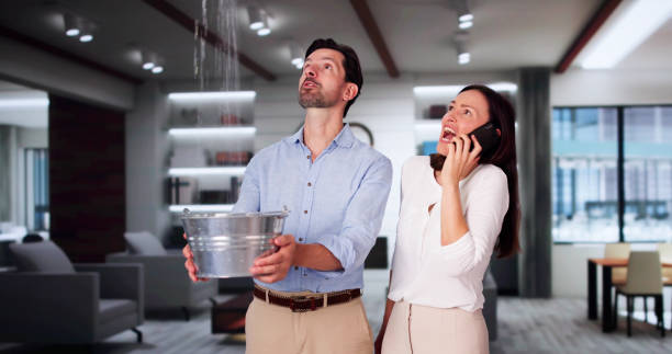 Best Basement water damage restoration  in Conneaut, OH